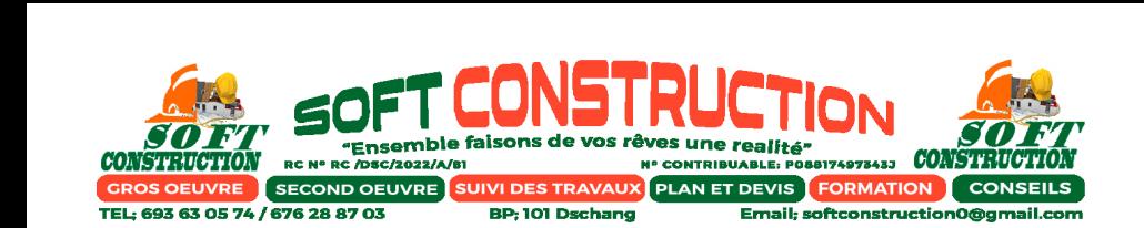 SOFTCONSTRUCTION Logo